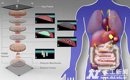 1463533645887057.jpg QQ截图20160518090655.jpg