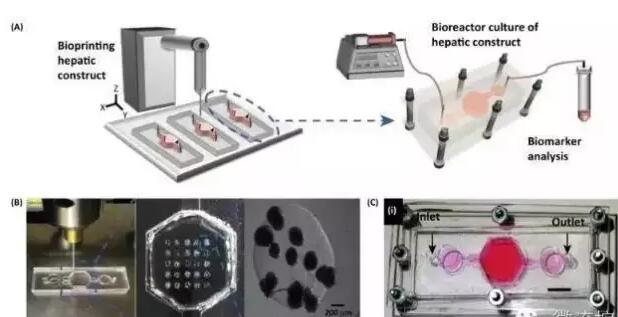 1476945584129439.jpg QQ截图20161020143907.jpg