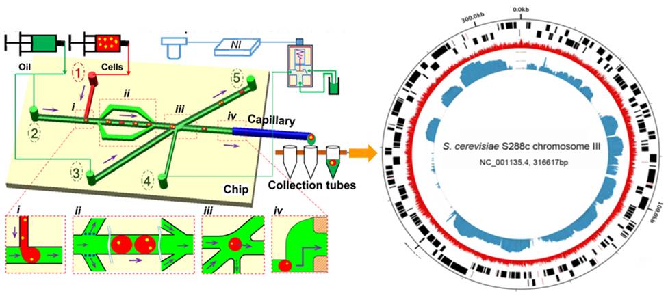 1486431079847553.jpg W020170203381742696963.jpg
