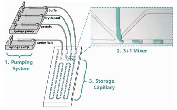 1490065410201819.jpg 微流控技术