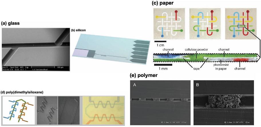 玻璃、PDMS、纸、硅、PMMA材质芯片示范图对比