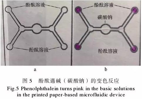 为了验证纸包装与纸基微流控芯片的整合技术，在纸盒的4个体板上分别制作了4个微流控芯片，该纸基芯片在pH值检测中的应用示例见图5。