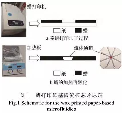 使用蜡打印加工纸基微流控芯片的方法，其基本原理见图1。