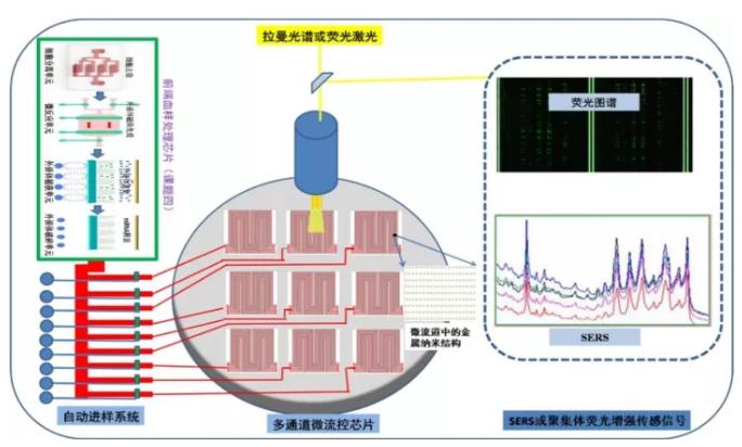 高增敏金属纳米结构材料与聚集体生化传感器研究 高增敏金属纳米结构材料与聚集体生化传感器研究