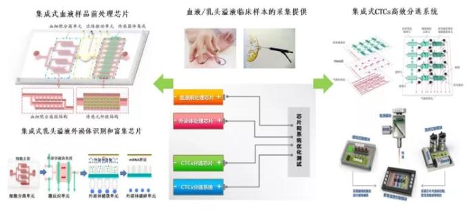 基于微流控技术的样品前处理芯片研究 基于微流控技术的样品前处理芯片研究