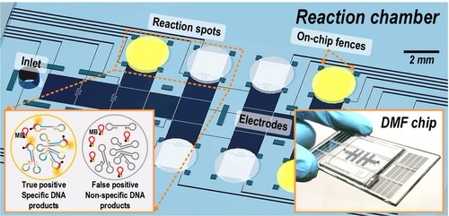 数位微流控系统寄生虫检测工具