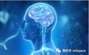 从实际应用出发，让标志物助力精准诊断