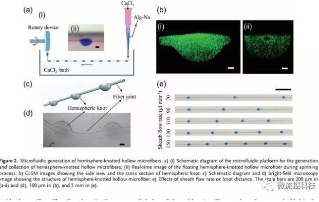 微流控免油纺丝法制备具有不同结点和可灌注通道的仿项链微纤维 微流控免油纺丝法制备具有不同结点和可灌注通道的仿项链微纤维