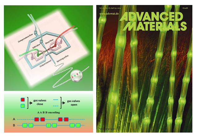 微流控技术仿生合成微米纤维生物材料新进展 微流控技术仿生合成微米纤维生物材料新进展