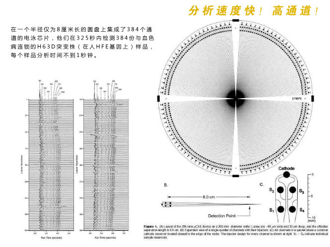 微流控芯片实验室分析检测速度快，具有高通道等特性。