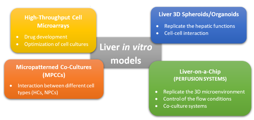 图2.肝脏体外模型的常用方法的图形表示。这些方法可分为非灌注系统（MPCC，3D球体）和灌注系统（肝脏上芯片），而高通量细胞微阵列通常用于药物筛选和开发[2] [10]。