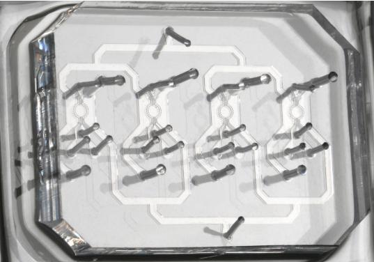 在微流控芯片上培养胚胎干细胞