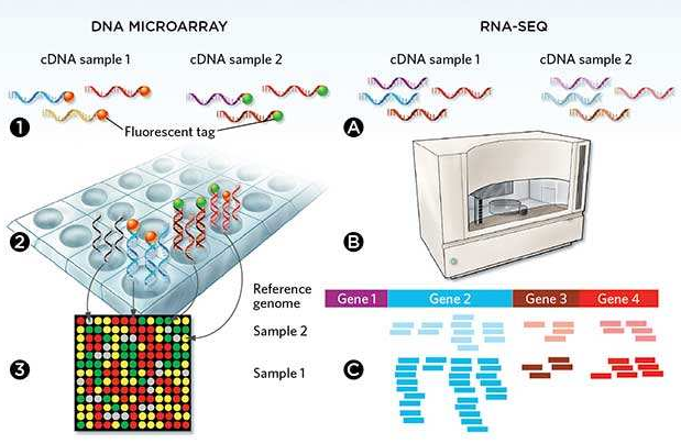微流控自动化技术革新RNA-Seq文库构建流程 --- FLUIDIGM发布更高效、更节约成本的Advanta RNA-Seq NGS 文库构建解决方案