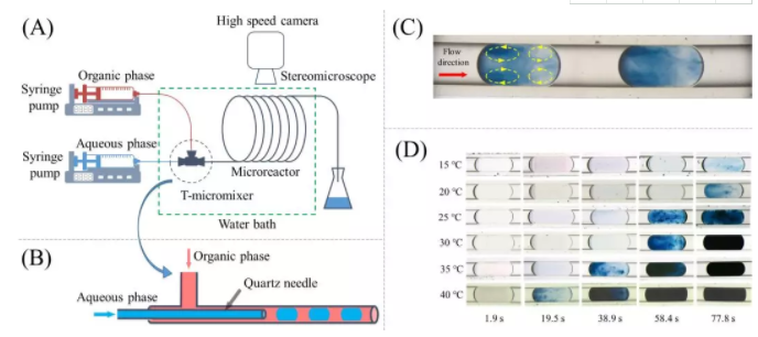 图1 连续流制备聚苯胺反应装置