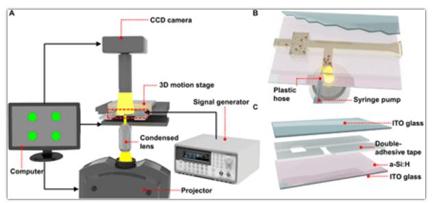 OEK系统的示意图 OEK系统的示意图